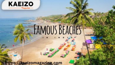 The most famous beaches in India