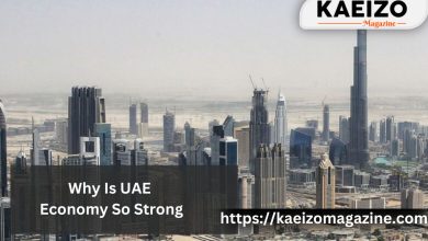 Why Is UAE Economy So Strong