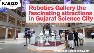 Robotics Gallery: Exploring The Fascinating Attractions Of Gujarat Science City