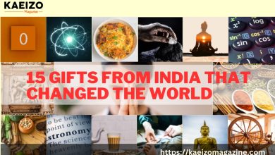 The World Owes India a Debt of Gratitude: 15 Gifts That Have Made Us All Richer