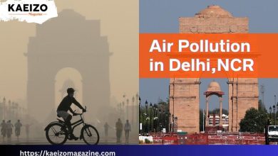 Delhi Air Pollution