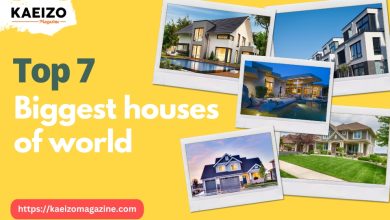 top 7 biggest houses of world