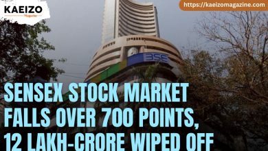 Sensex Stock market crash 12lakh crore wiped off