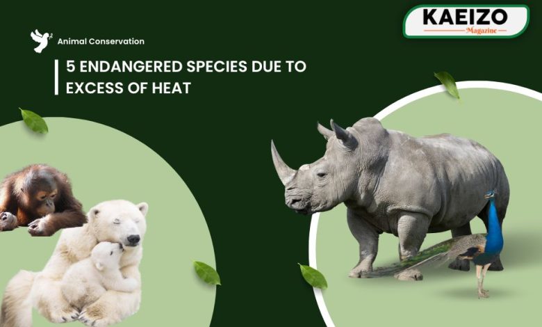 5 Endangered species due to Excess of heat