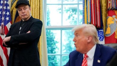 trum elon